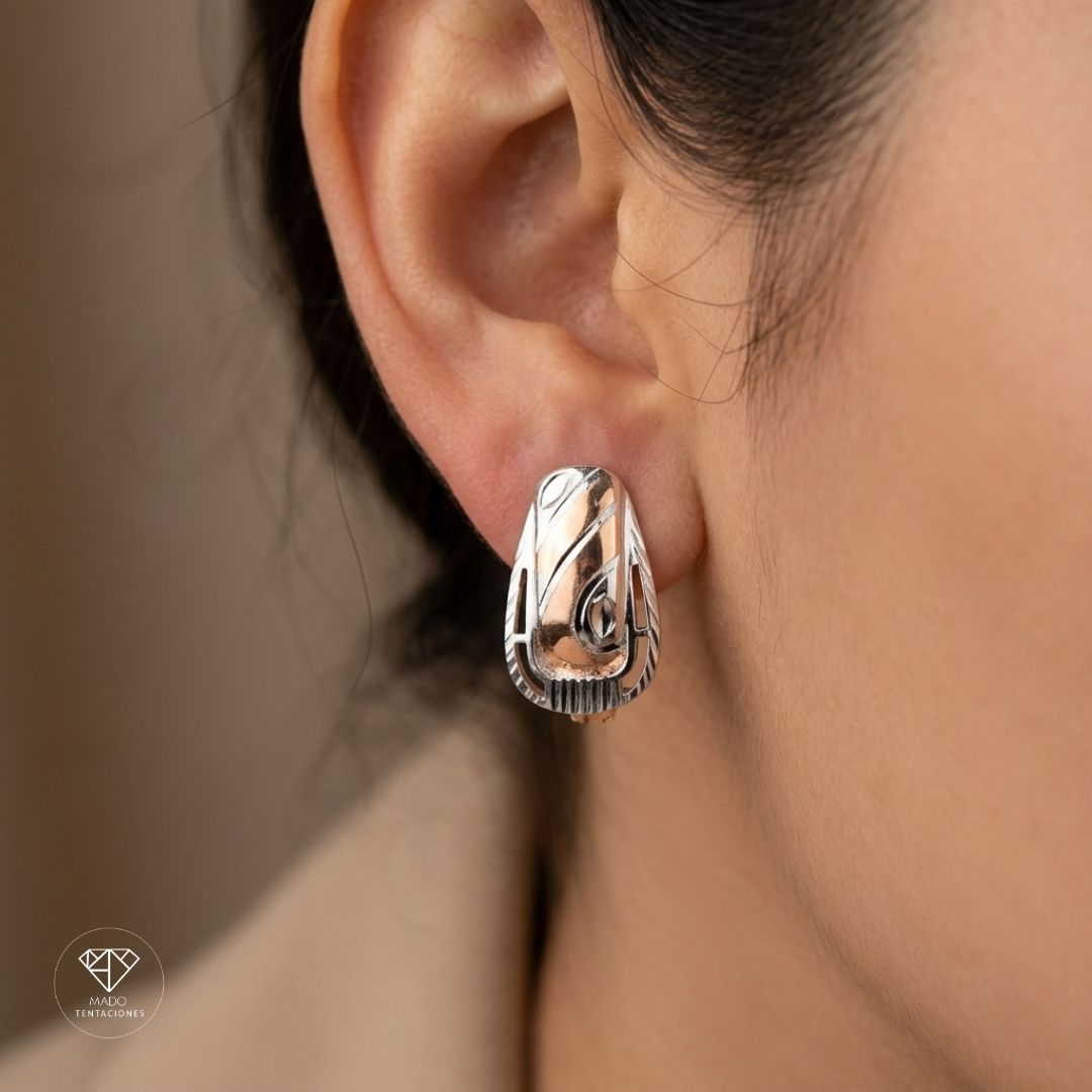 Aretes Sistema Escudo Bitono